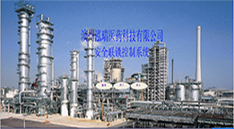 山東泓瑞醫(yī)藥科技股份公司（安全聯鎖控制系統）